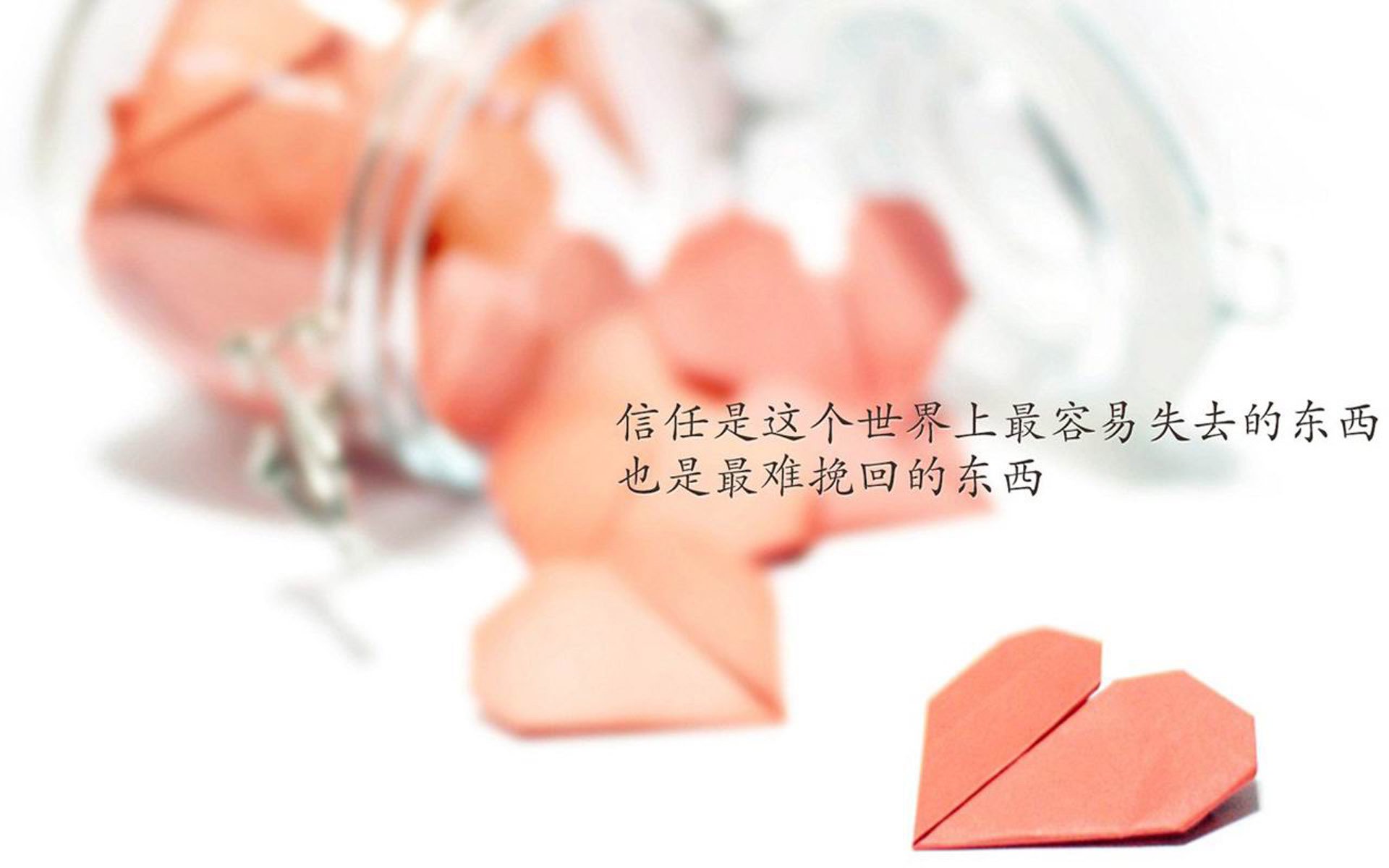 步行者发布“球迷成长日记”征集令，记录青春与篮球，步行者队球迷