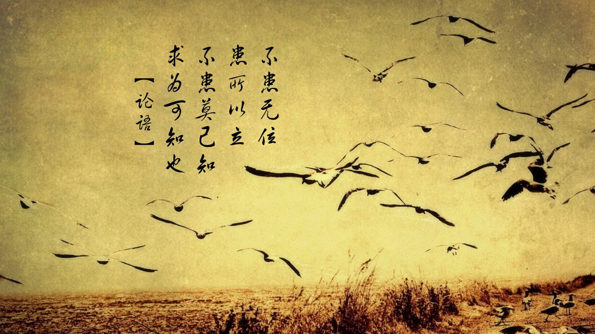 IG公开选手健康状况年度评估报告