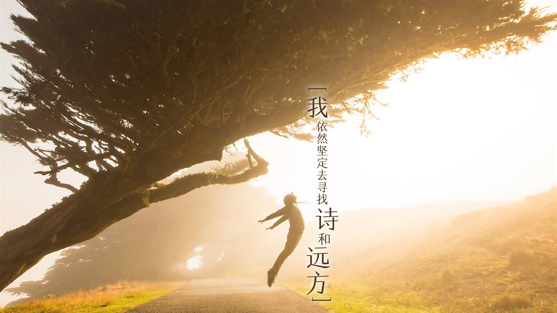 乐鱼体育App下载-争议：波尔图遭逆转出局，欧冠止步八强！，波尔图欧冠晋级之路