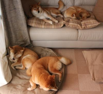 兰帕德领衔取胜，阿特兰大队遗憾失利，阿尔特塔和兰帕德