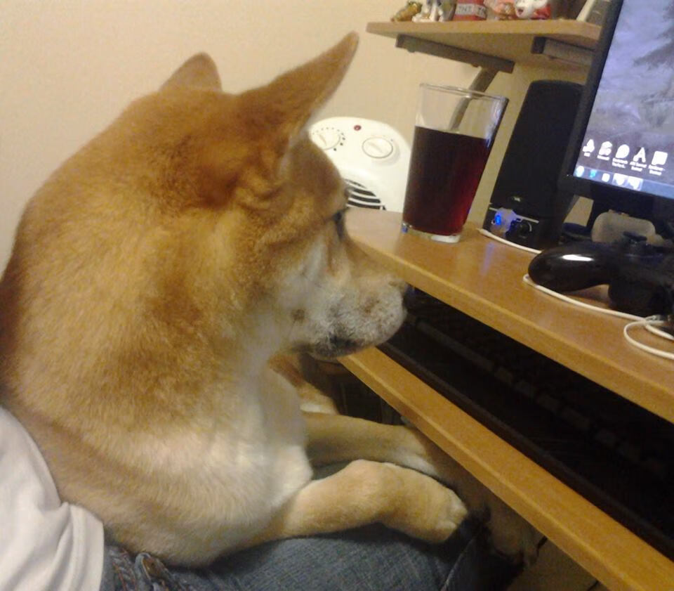 兰德尔带伤作战，仍展现出色个人能力，兰德尔打法