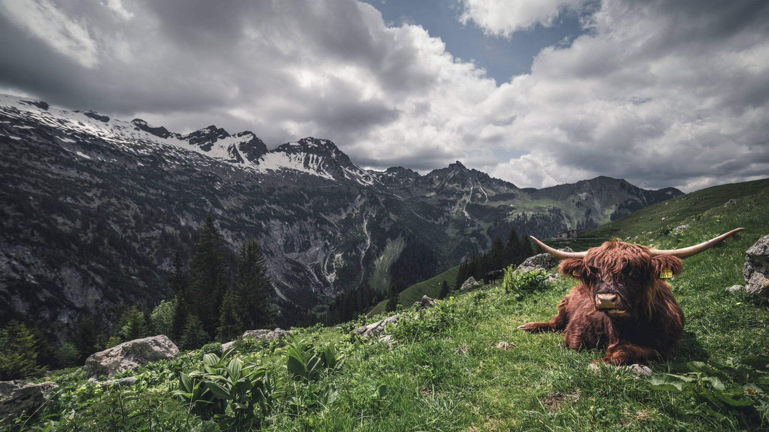 乐鱼体育App下载-勒沃库森创下连胜纪录，勒沃库森2020阵容