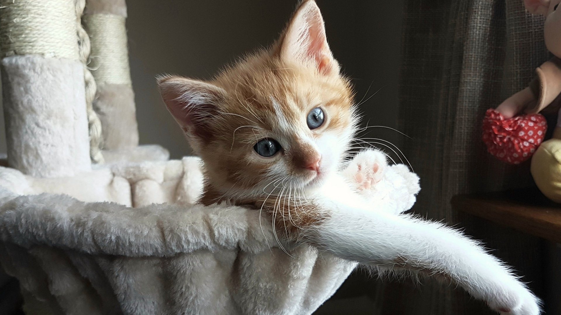 广场舞与旅游业融合发展，广场舞的发展前景