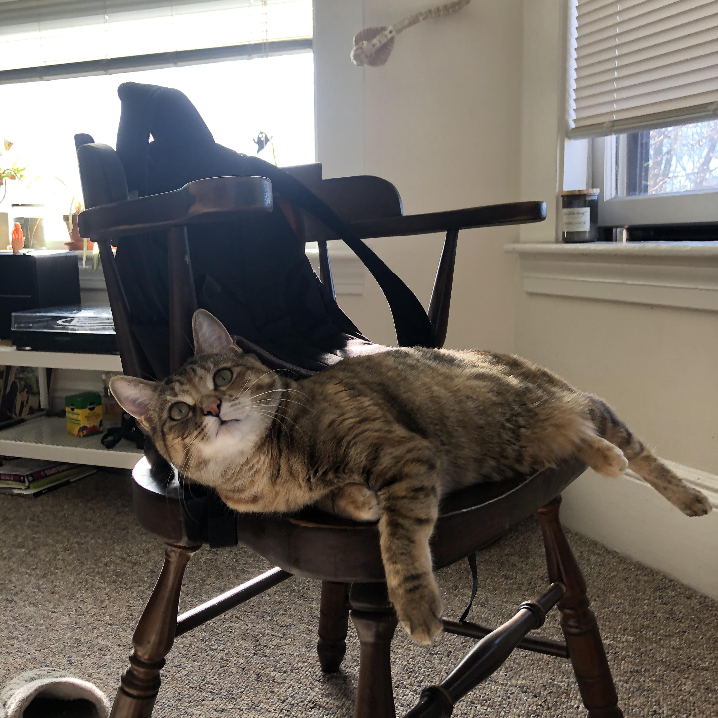 LeyuSports-广场舞作品在国际舞蹈大赛中获奖，国际广场舞大赛一等奖中国美