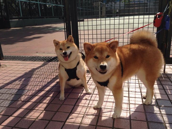 河床球员士气高涨，河床历史球星