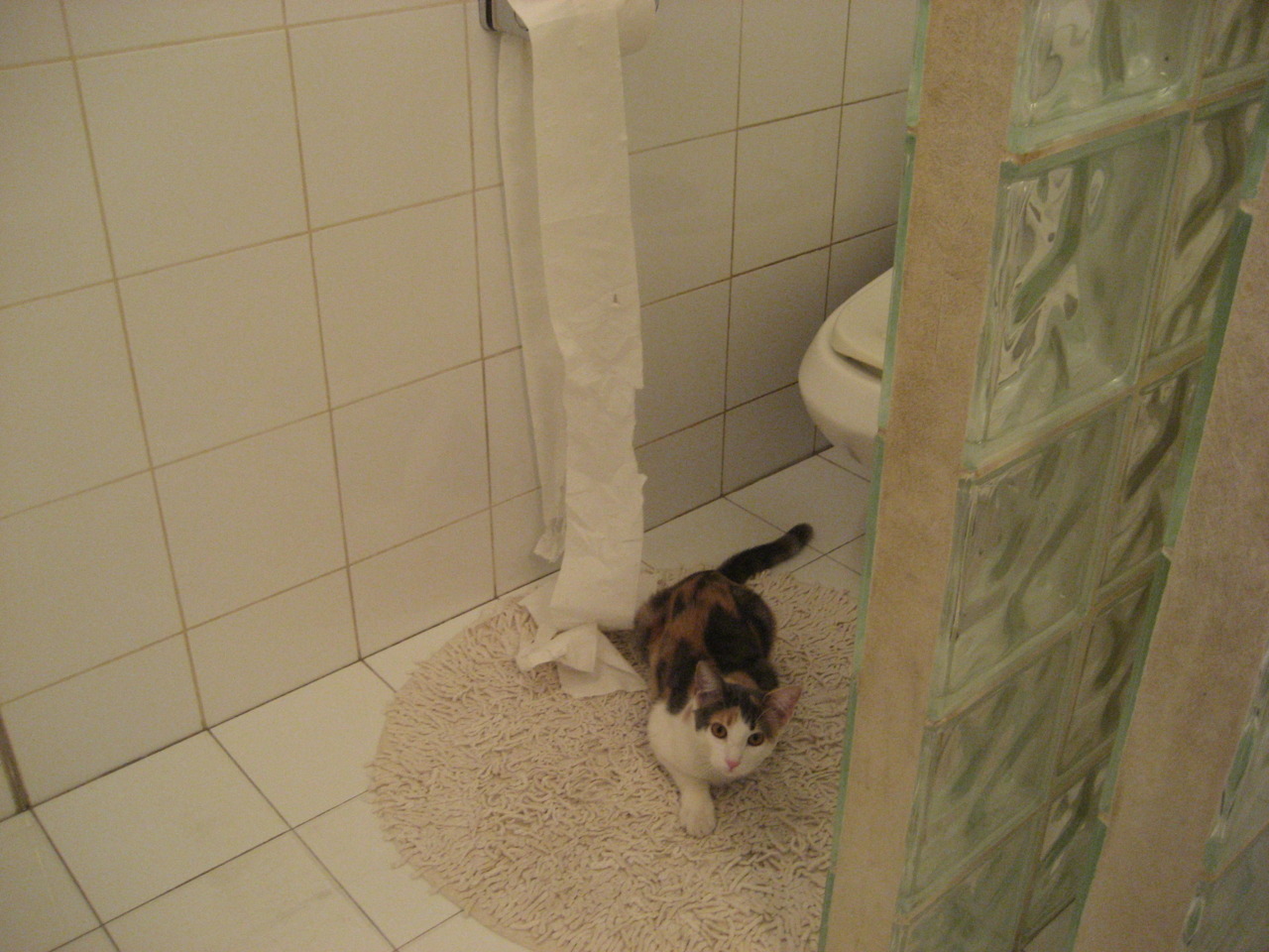 LEYU SPORTS中国官方网站-河床篮板球表现抢眼，河床队的主场叫什么