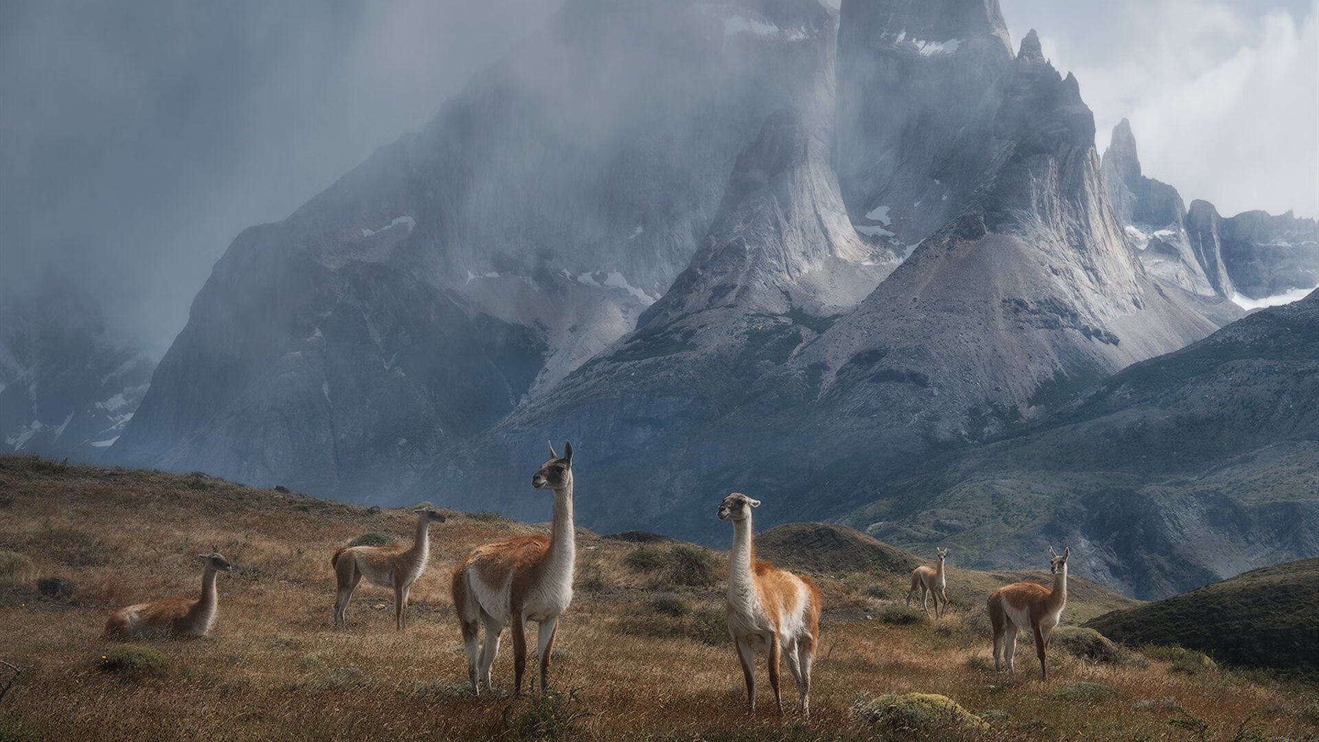 瑞典战队 Dignitas 计划扩展至其他电子竞技项目,瑞典nip战队