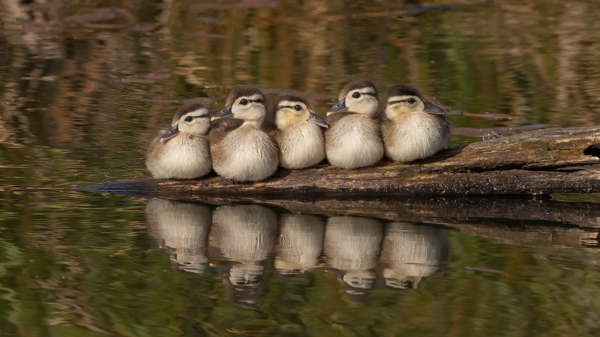 Leyu Sports (乐鱼体育)-石油人团队配合日益默契，石油人团队配合日益默契工作