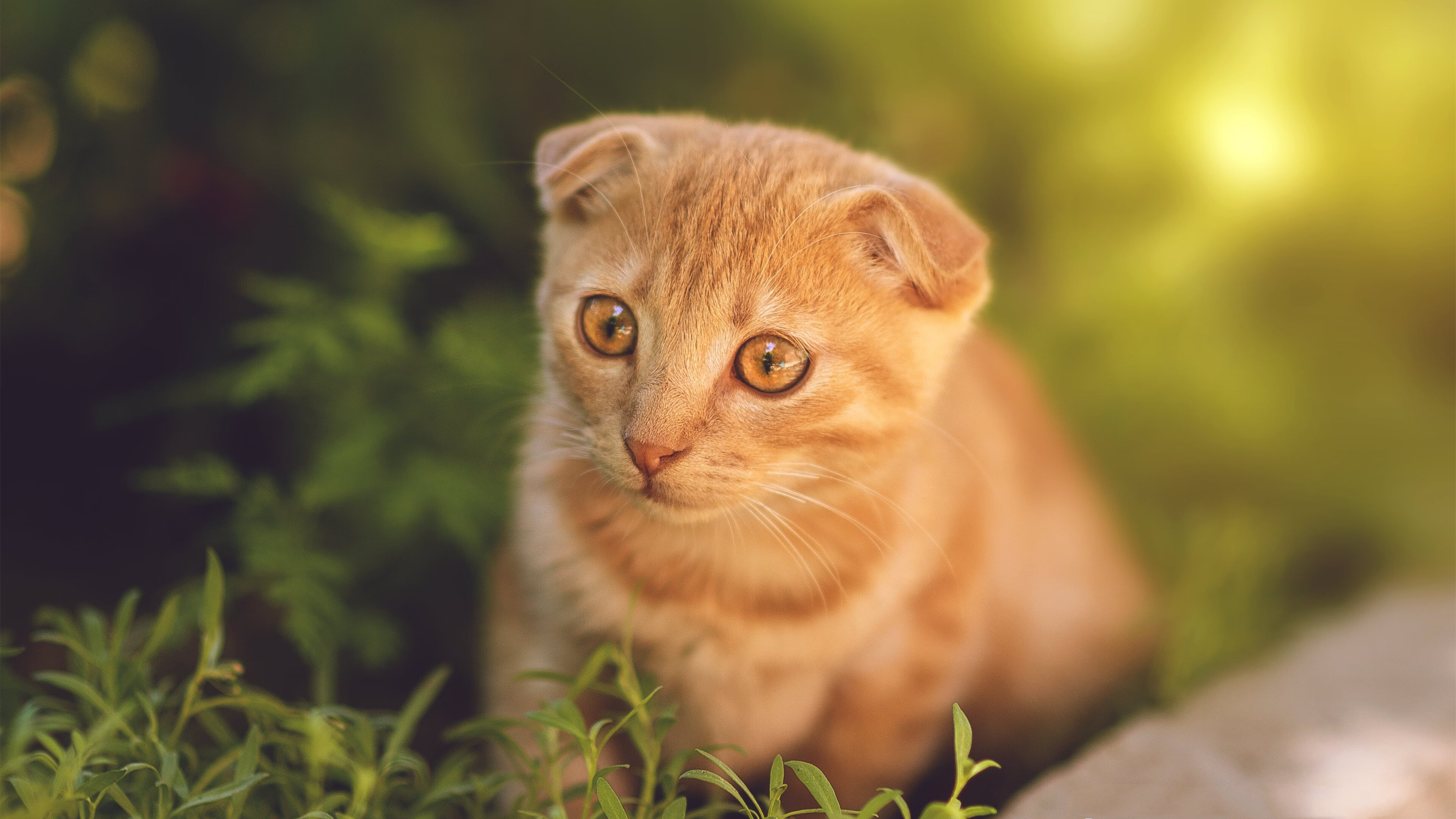 逆转滑雪选手完成逆袭夺冠，逆转滑雪选手完成逆袭夺冠任务