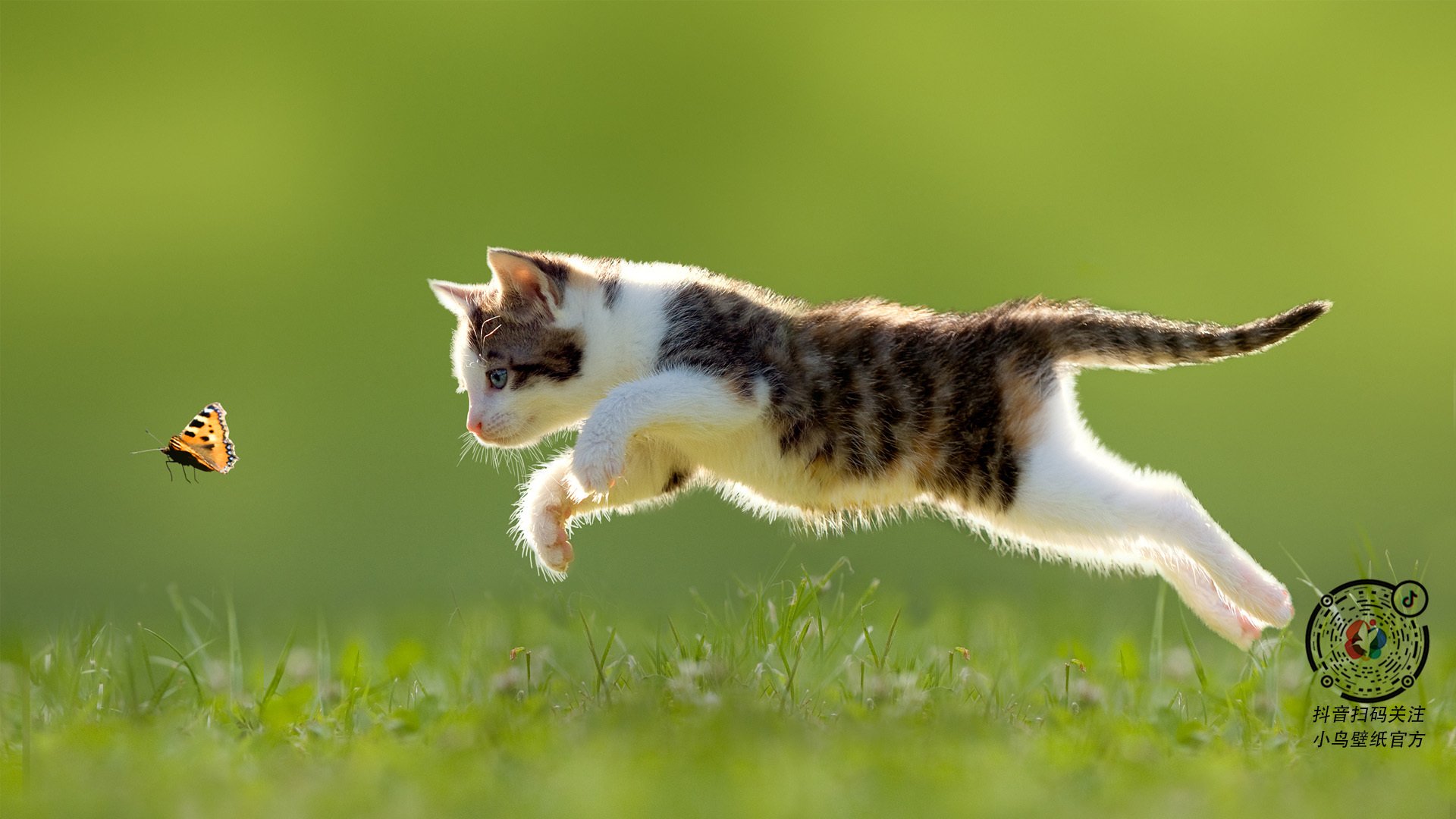 Leyu Sports (乐鱼体育)-选手个人技术提升显著，提升个人技术水平