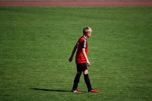 乐鱼（LEYU）体育-NBA球员高原训练对平原比赛状态的影响，平原运动员进行高原训练原因