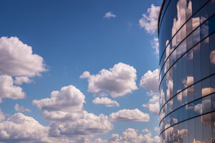 leyu.com-埃及队未来：借鉴世界先进经验，完善本土发展体系，埃及国家队阵容状况