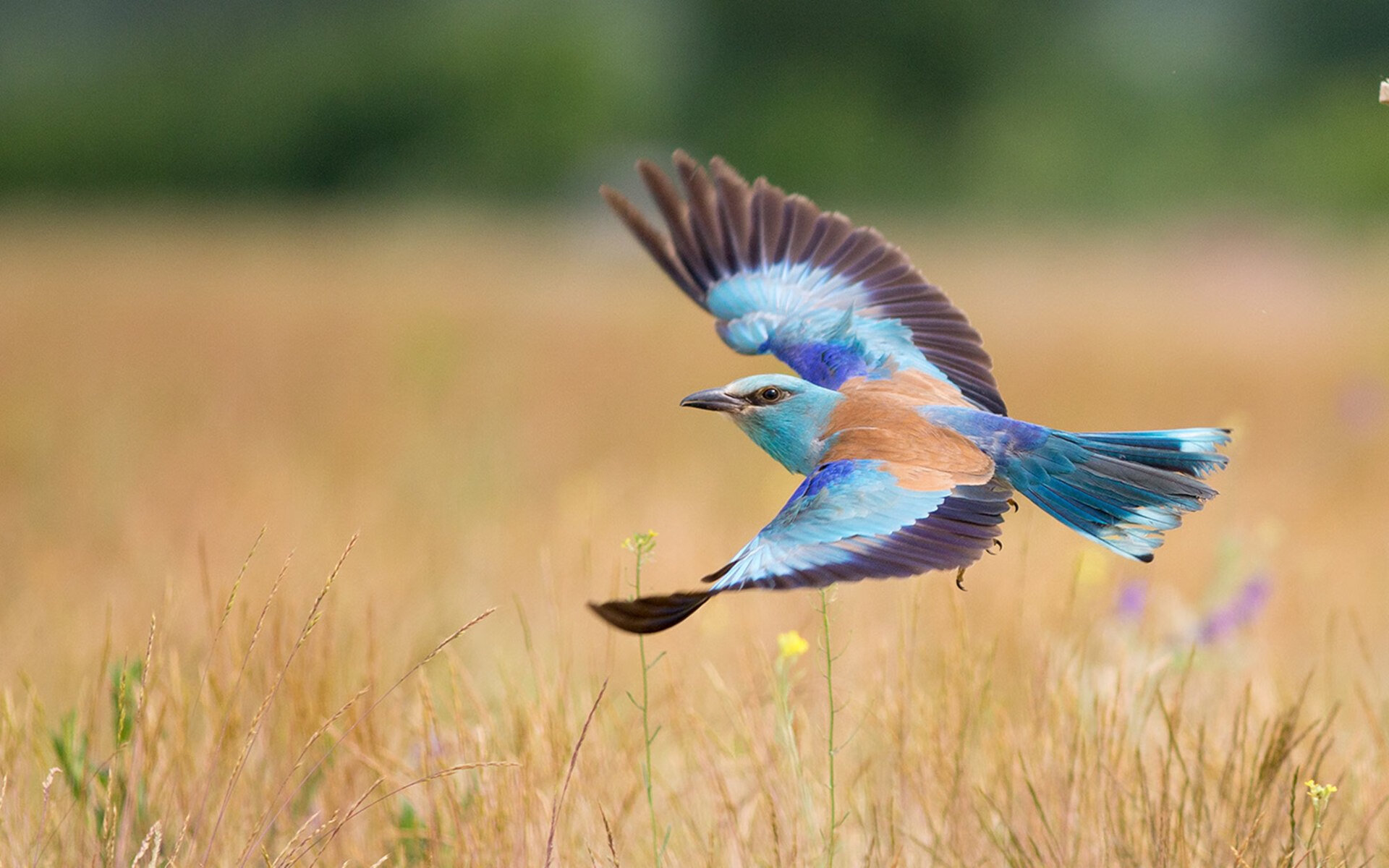 leyu.com-姆巴佩决赛表现失常，球队遭遇滑铁卢，姆巴佩经典比赛