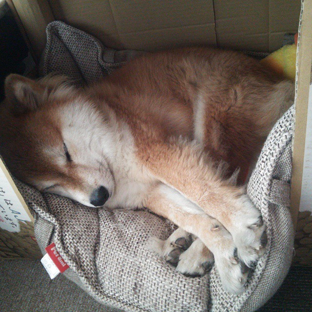 Leyu Sport下载-比赛转播技术升级助力赛事推广，转播赛事可以收费吗