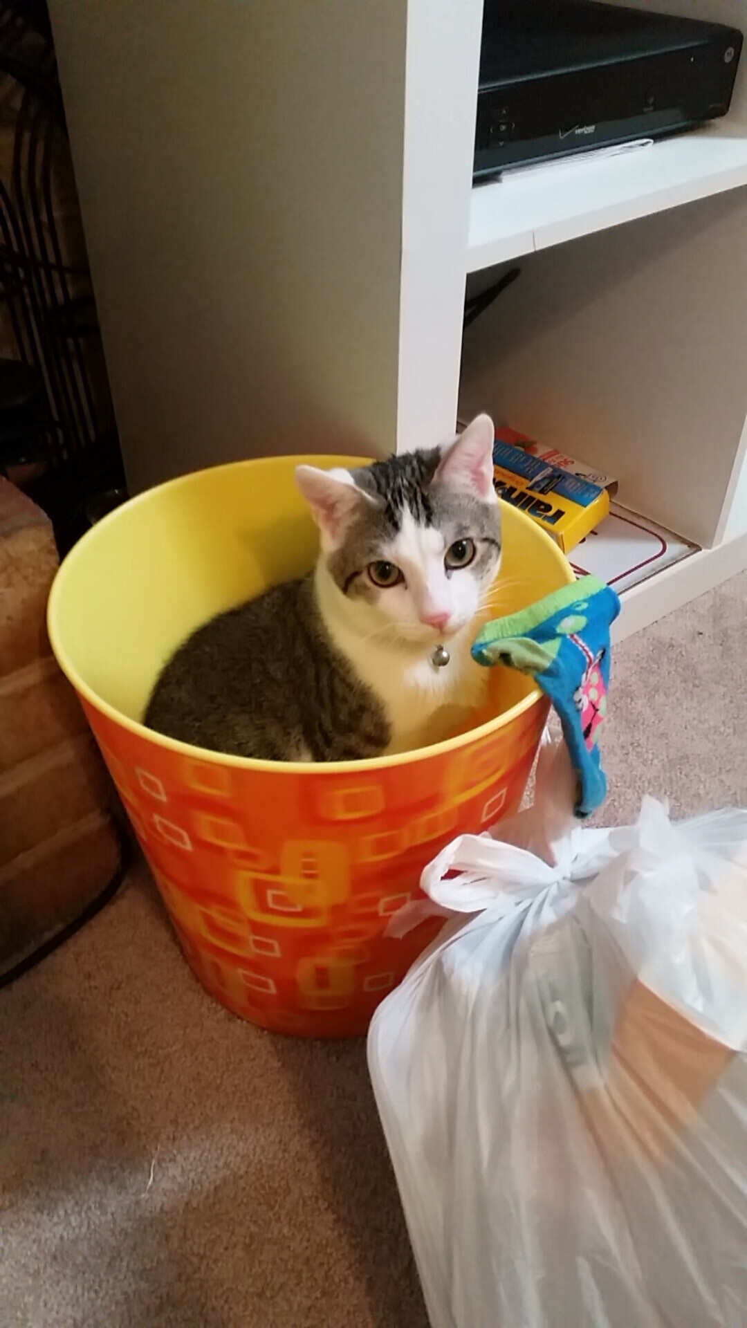 苏炳添 百米不是爆发而是积累,苏炳添百米起跑