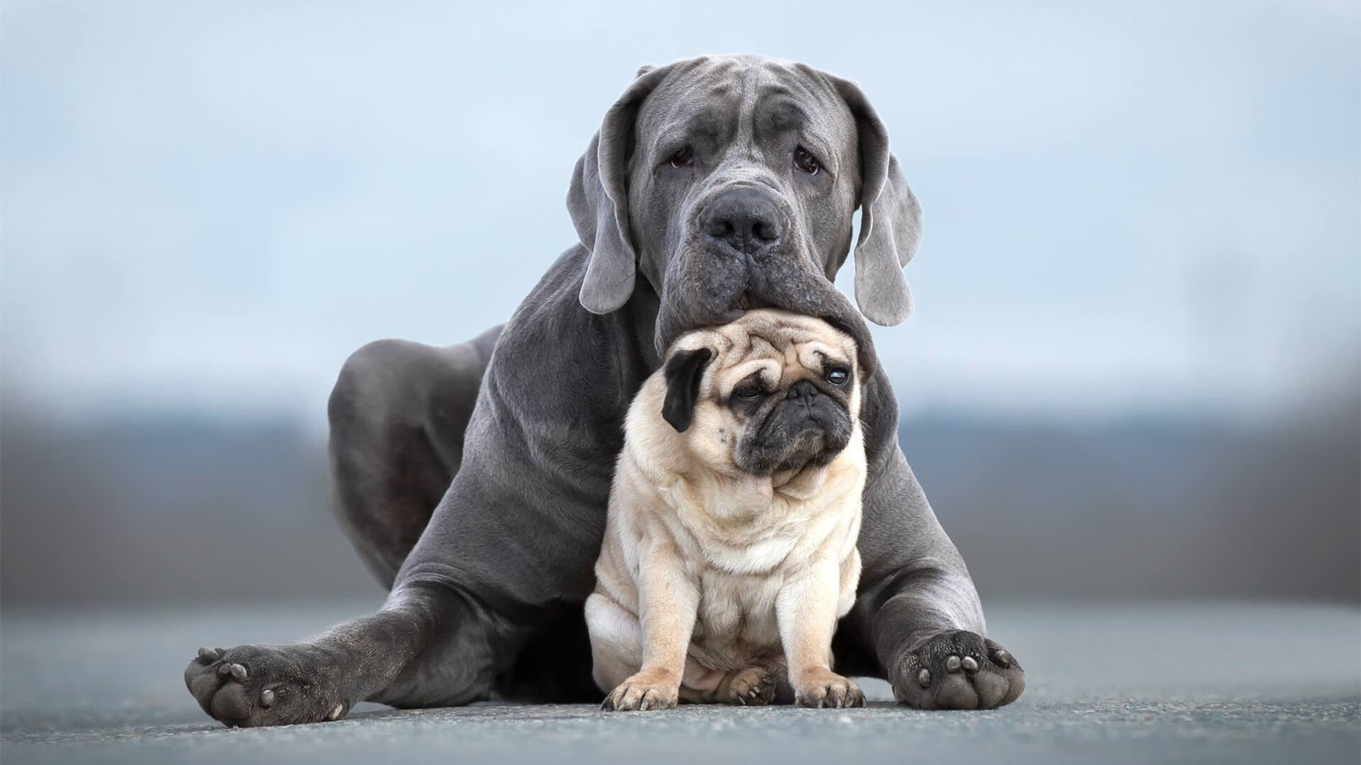 英雄联盟季后赛阶段看点十足每场皆焦点，英雄联盟lol季后赛