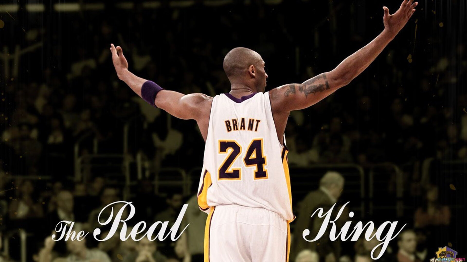 乐鱼平台-《电竞赛事中的安全措施：筑牢安全防线》，电竞赛事现场风险预案