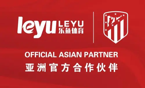 包含乐鱼体育：篮球球星的公益代言：如何选择与自身形象契合的公益项目？的词条